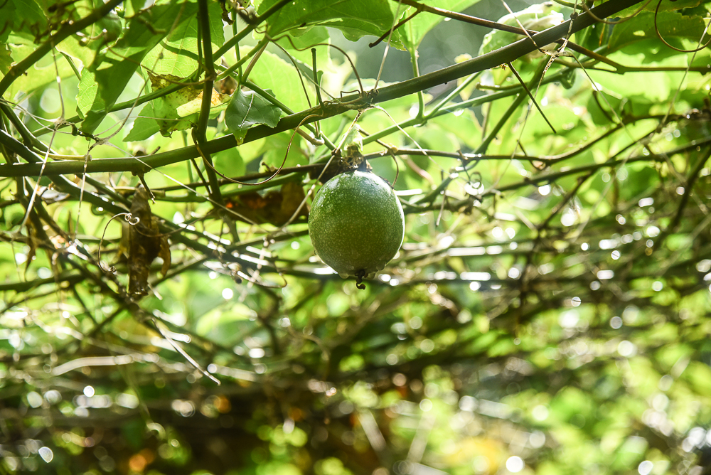 DSC_1755