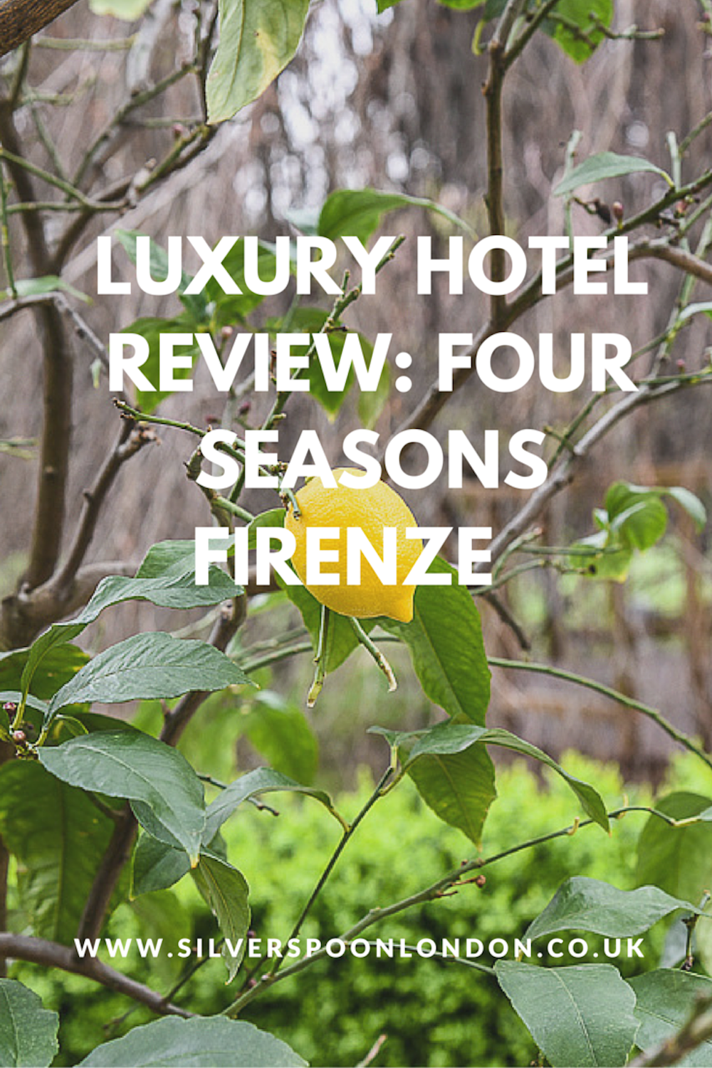 Review of the Four Seasons Florence