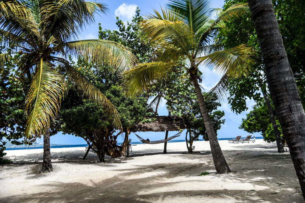 Petit St. Vincent A Private Island Paradise in the Caribbean