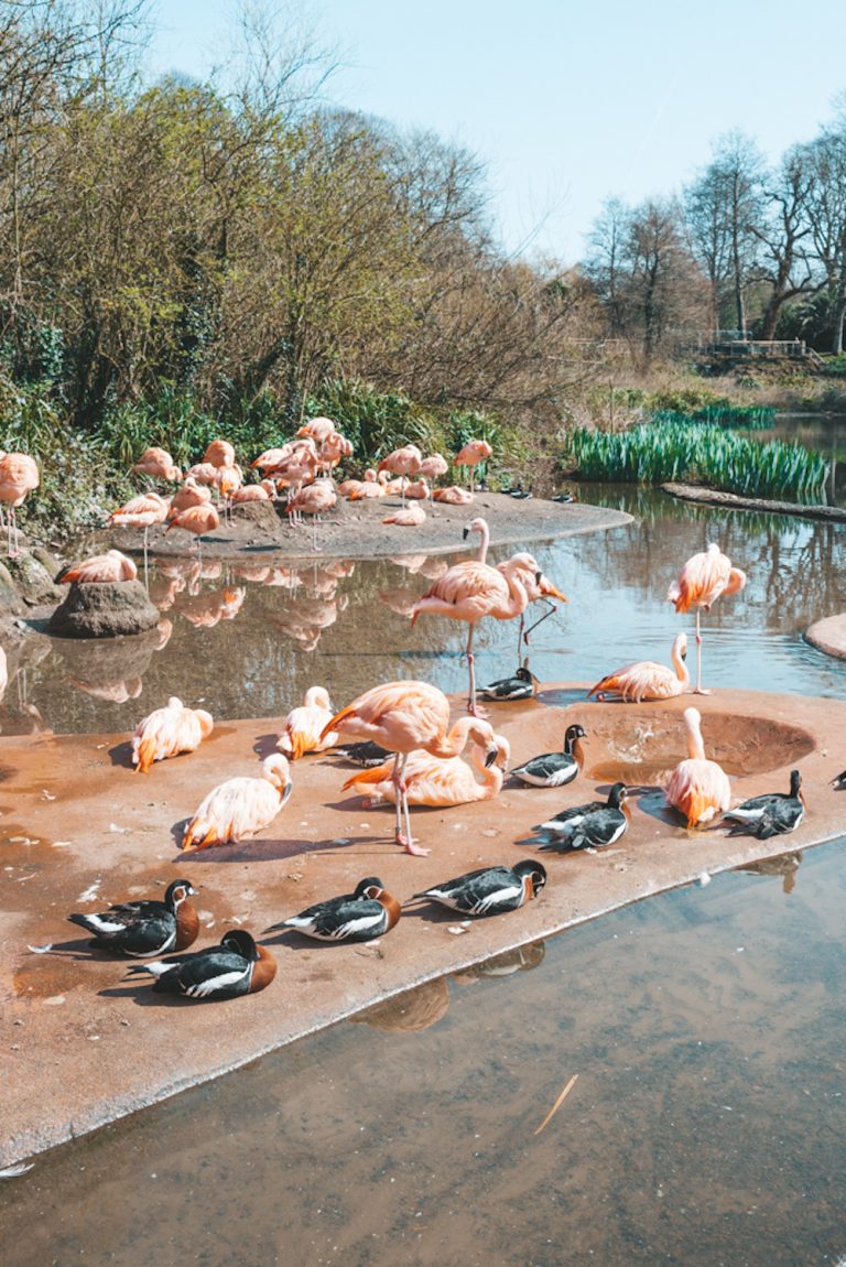 A Stay at The Atlantic Hotel and the Eat Jersey Food Festival 2019